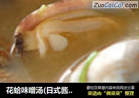 花蛤味噌湯(日式醬湯)封面圖