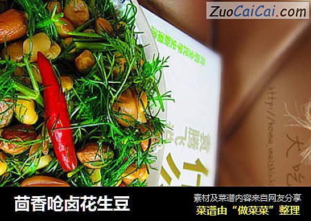 茴香嗆鹵花生豆封面圖