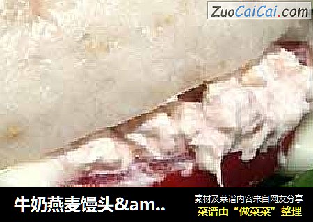 牛奶燕麥饅頭&中式金槍魚漢堡封面圖