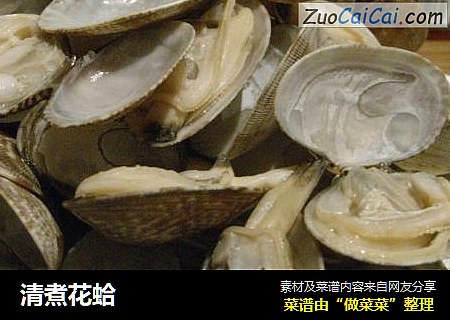 清煮花蛤封面圖