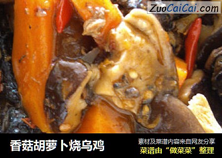 香菇胡蘿蔔燒烏雞封面圖