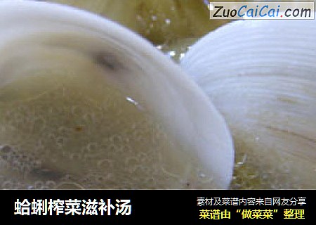 蛤蜊榨菜滋補湯封面圖