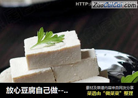放心豆腐自己做----自製豆腐封面圖