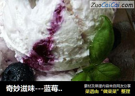 奇妙滋味---蓝莓酸奶冰淇淋
