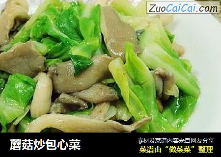 蘑菇炒包心菜