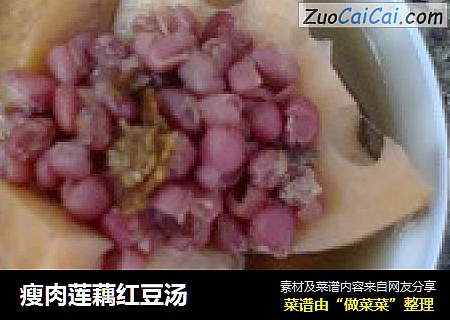 瘦肉蓮藕紅豆湯封面圖