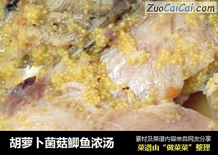 胡蘿蔔菌菇鲫魚濃湯封面圖