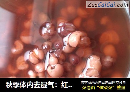 秋季體內去濕氣：紅豆薏仁湯封面圖