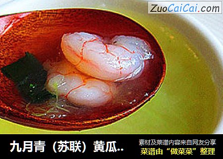九月青（蘇聯）黃瓜蝦仁湯封面圖
