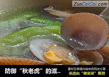 防禦“秋老虎”的滋養鮮湯——【絲瓜花甲湯】封面圖
