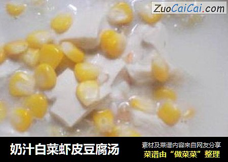 奶汁白菜蝦皮豆腐湯封面圖