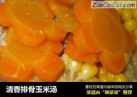 清香排骨玉米湯封面圖