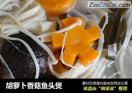 胡蘿蔔香菇魚頭煲封面圖