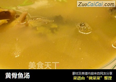 黃骨魚湯封面圖