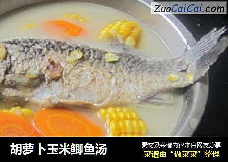 胡萝卜玉米鲫鱼汤