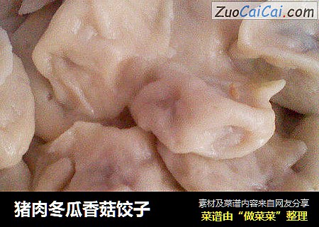 豬肉冬瓜香菇餃子封面圖