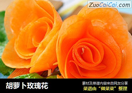 胡蘿蔔玫瑰花封面圖