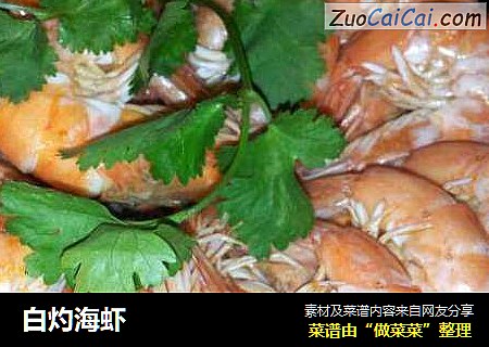 白灼海蝦封面圖