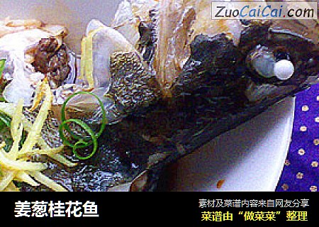 姜葱桂花鱼
