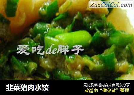 韭菜豬肉水餃封面圖