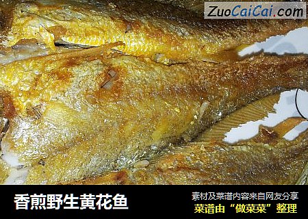 香煎野生黃花魚封面圖
