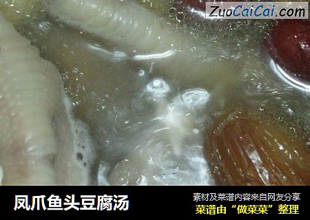 鳳爪魚頭豆腐湯封面圖