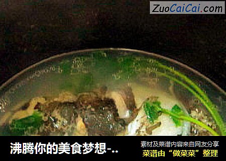 沸騰你的美食夢想---煲魚頭湯封面圖