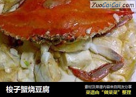 梭子蟹燒豆腐封面圖