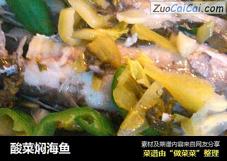 酸菜焖海魚封面圖