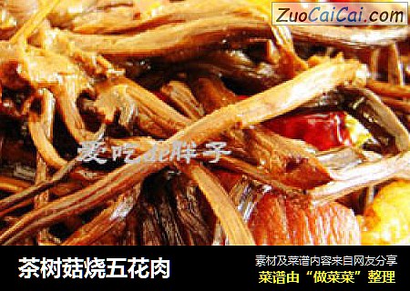 茶樹菇燒五花肉封面圖
