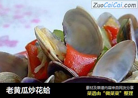 老黄瓜炒花蛤