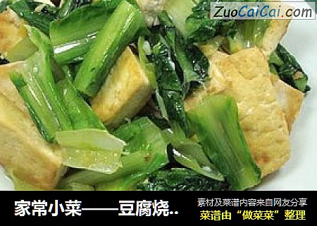 家常小菜——豆腐烧油麦菜