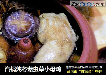 汽锅炖冬菇虫草小母鸡