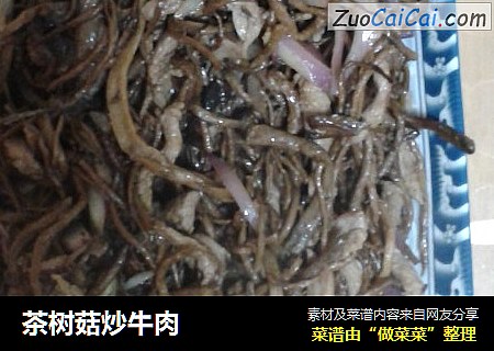 茶樹菇炒牛肉封面圖