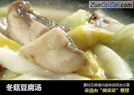 冬菇豆腐湯封面圖