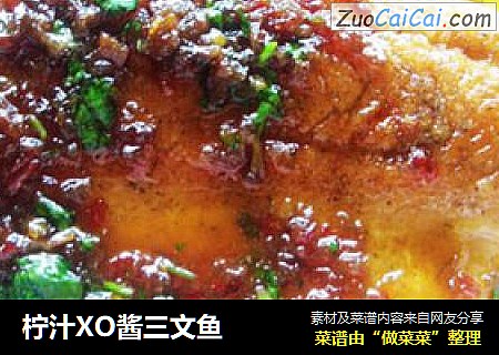 檸汁XO醬三文魚封面圖