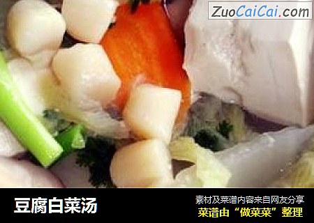 豆腐白菜湯封面圖