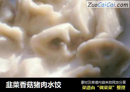 韭菜香菇猪肉水饺