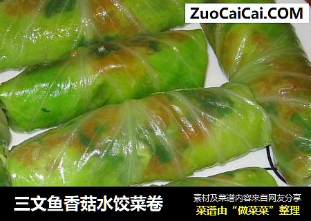 三文魚香菇水餃菜卷封面圖