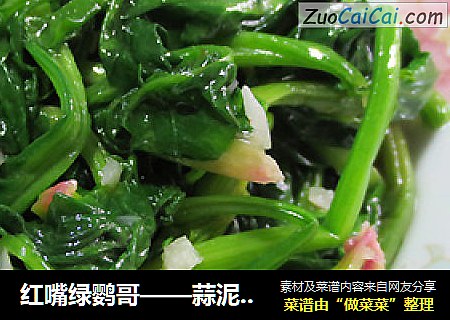 红嘴绿鹦哥——蒜泥菠菜