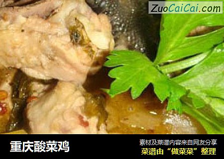 重慶酸菜雞封面圖