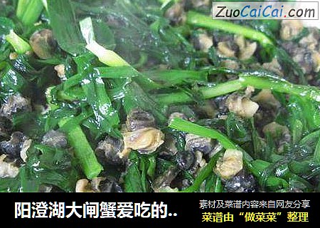 陽澄湖大閘蟹愛吃的螺蛳肉炒韭菜封面圖