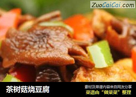 茶樹菇燒豆腐封面圖