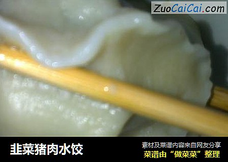 韭菜豬肉水餃封面圖