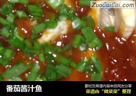番茄醬汁魚封面圖