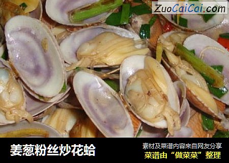 姜葱粉丝炒花蛤