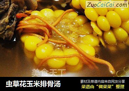 蟲草花玉米排骨湯封面圖