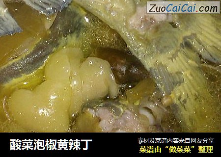 酸菜泡椒黃辣丁封面圖