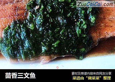 茴香三文魚封面圖