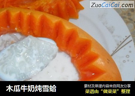 木瓜牛奶炖雪蛤封面圖